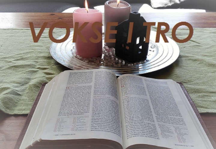 Bibel -og fellesskapsgrupper