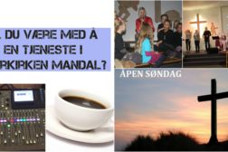 Tjeneste søker frivillig