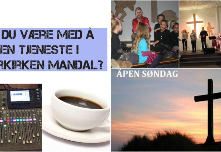 Tjeneste søker frivillig