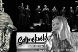 Salmekveld
